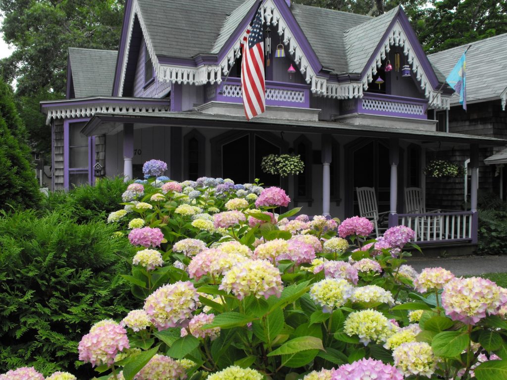 black elite martha's vineyard