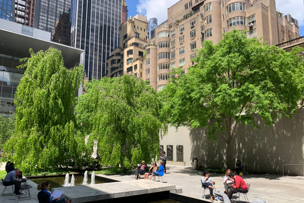 Sculpture Garden at the MoMA