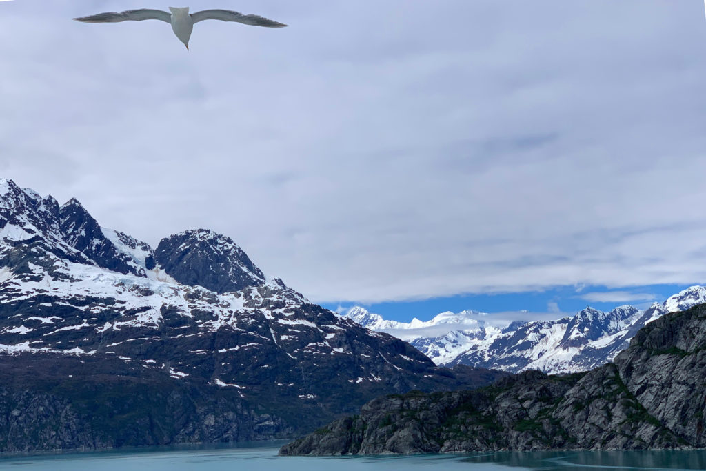 Photo Glacier Bay Alaska