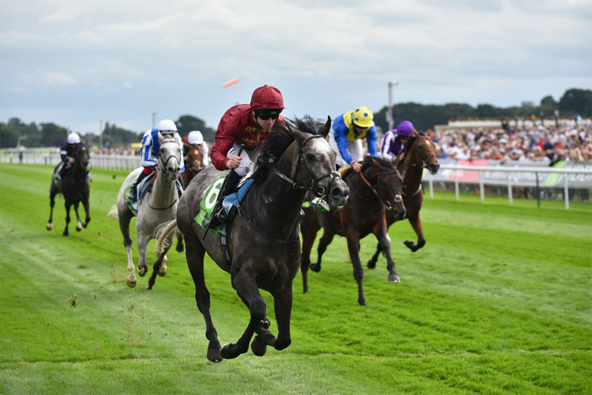 best horse racing events August 2019