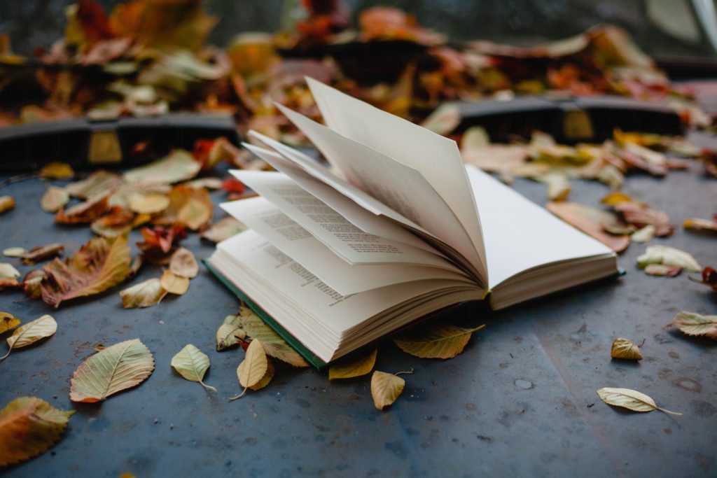 What are the best books set in the fall autumn season?