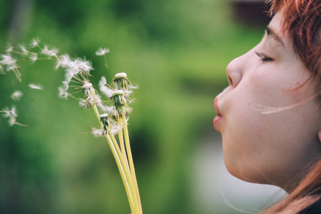 What is the symbolic meaning of dandelions?