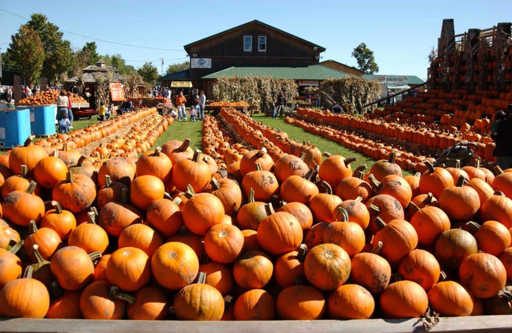 best places apple-picking